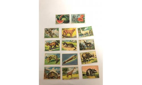 014x Figurinhas 1960 Hist�ria Natural